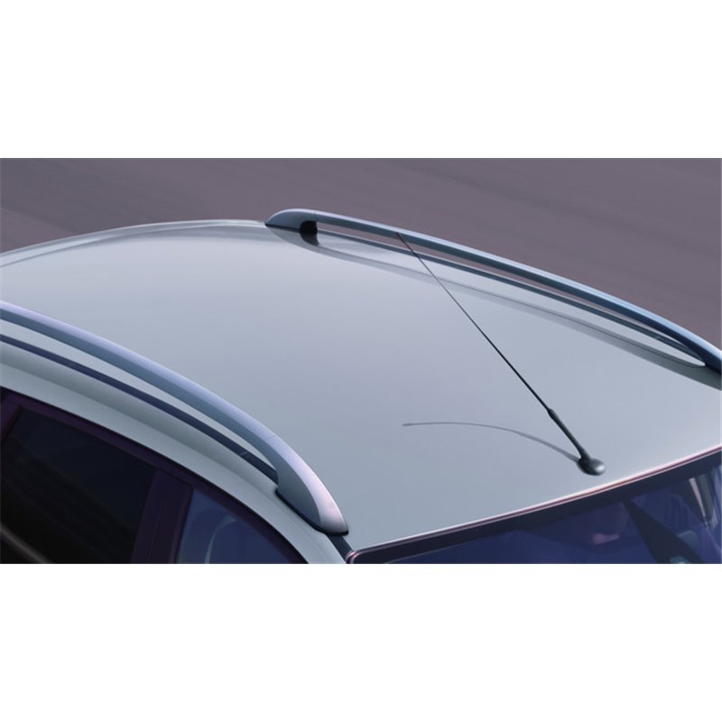 Barres de toit longitudinales (Noir/Argent) - Ford Focus